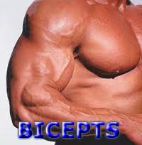 bicepts